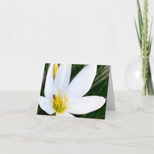 Rain Lily Bug Deux Bedankkaart (Voorkant)