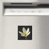 Rain Lily Magneet (Insitu (Vaatwasser))