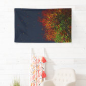 Rainboegbanner Spandoek (Insitu)