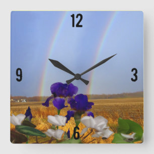 Rainbogen en wandklokken van Irises