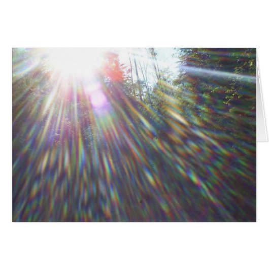 Rainbogen in bomen (Voorkant Horizontaal)