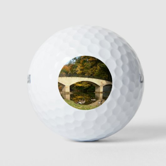 Rainboogbrug in Herfst bij het Grove City College Golfballen (Voorkant)