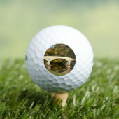 Rainboogbrug in Herfst bij het Grove City College Golfballen (Insitu Shirt)