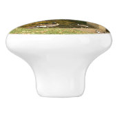 Rainboogbrug in Herfst bij het Grove City College Keramische Knop (Zijkant)