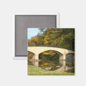 Rainboogbrug in Herfst bij het Grove City College Magneet (Voorkant / Achterkant)