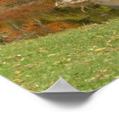 Rainboogbrug in Herfst bij het Grove City College Poster (Hoek)