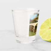 Rainboogbrug in Herfst bij het Grove City College Shot Glas (Links)