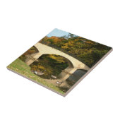 Rainboogbrug in Herfst bij het Grove City College Tegeltje (Zijkant)