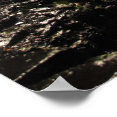 Rainboogbrug in Watkins Glen State Park Poster (Hoek)