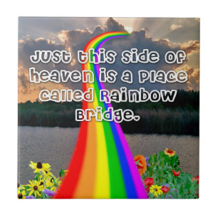 Rainboogbrug Tegeltje