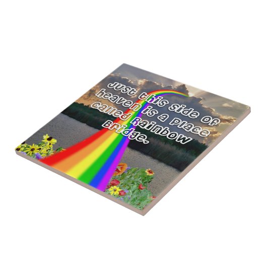 Rainboogbrug Tegeltje (Zijkant)