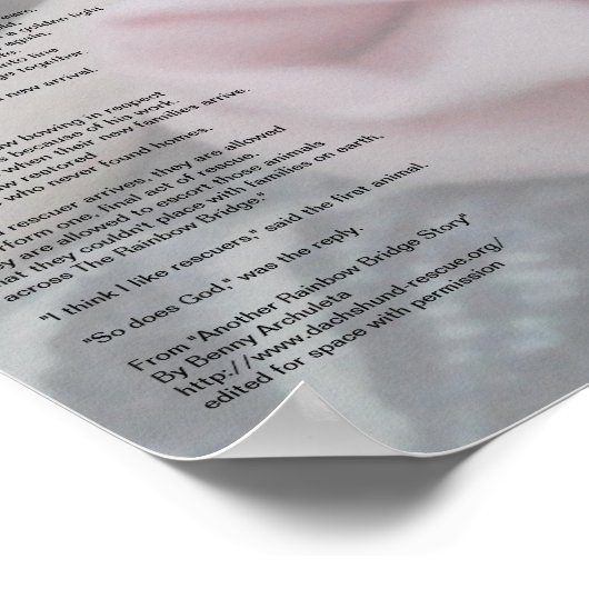 Rainboogbrug van de redder (bewerkt) poster (Hoek)