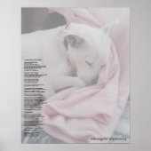 Rainboogbrug van de redder (bewerkt) poster (Voorkant)