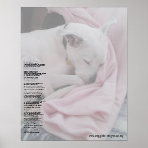 Rainboogbrug van de redder (bewerkt) poster