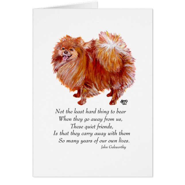 Rainboogbrug van Pommeren (Voorkant)