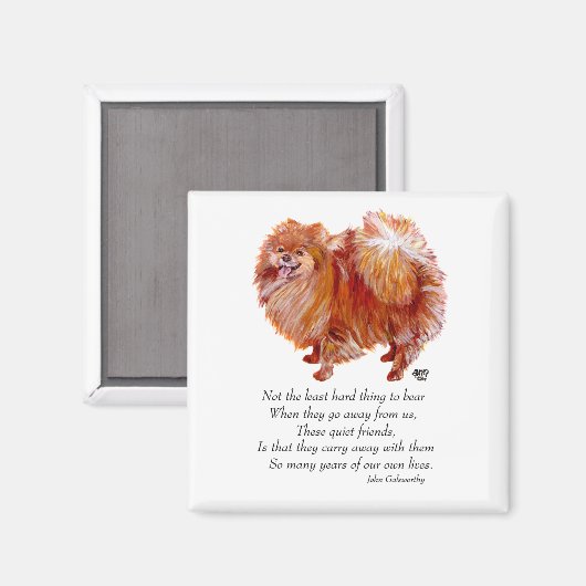 Rainboogbrug van Pommeren Magneet (Voorkant / Achterkant)