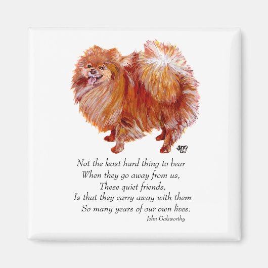 Rainboogbrug van Pommeren Magneet (Voorkant)