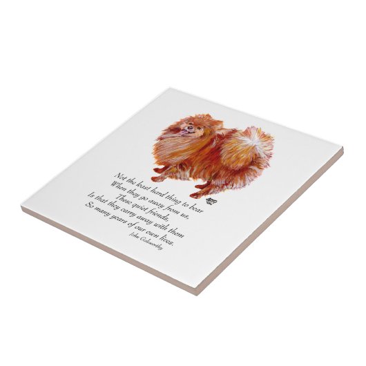 Rainboogbrug van Pommeren Tegeltje (Zijkant)