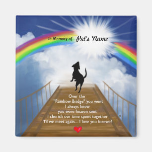 Rainboogbrug voor honden magneet