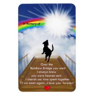 Rainboogbrug voor honden Magnet Magneet