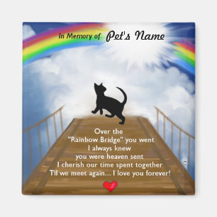 Rainboogbrug voor katten magneet