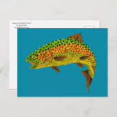 Rainboogforel 1 van Aspen Leaf Briefkaart (Voorkant / Achterkant)