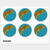 Rainboogforel 6 van Aspen Leaf Ronde Sticker (Vel)