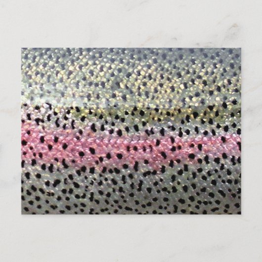 Rainboogforel op PatternWear© Briefkaart (Voorkant)