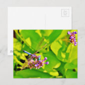 Rainboogkleurige Dragonfly op een paarse roze bloe Briefkaart (Voorkant / Achterkant)