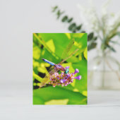 Rainboogkleurige Dragonfly op een paarse roze bloe Briefkaart (Staand voorkant)