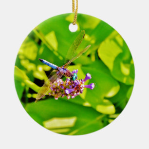 Rainboogkleurige Dragonfly op een paarse roze bloe Keramisch Ornament