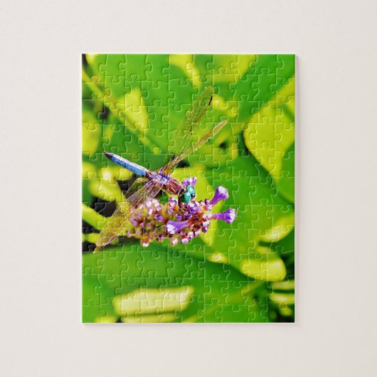 Rainboogkleurige Dragonfly op een paarse roze bloe Legpuzzel (Verticaal)