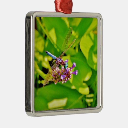 Rainboogkleurige Dragonfly op een paarse roze bloe Metalen Ornament (Rechts)