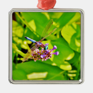 Rainboogkleurige Dragonfly op een paarse roze bloe Metalen Ornament