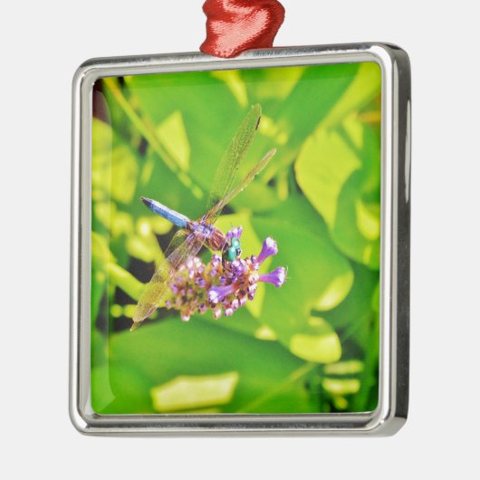 Rainboogkleurige Dragonfly op een paarse roze bloe Metalen Ornament (Links)
