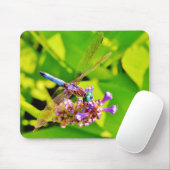 Rainboogkleurige Dragonfly op een paarse roze bloe Muismat (Met muis)