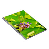 Rainboogkleurige Dragonfly op een paarse roze bloe Notitieboek (Rechterzijde)