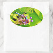 Rainboogkleurige Dragonfly op een paarse roze bloe Ovale Sticker (Tas)