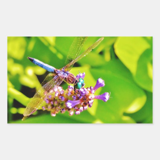 Rainboogkleurige Dragonfly op een paarse roze bloe Rechthoekige Sticker (Voorkant)