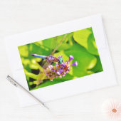 Rainboogkleurige Dragonfly op een paarse roze bloe Rechthoekige Sticker (Envelop)