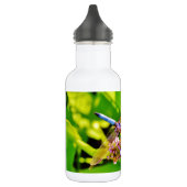 Rainboogkleurige Dragonfly op een paarse roze bloe Waterfles (Links)