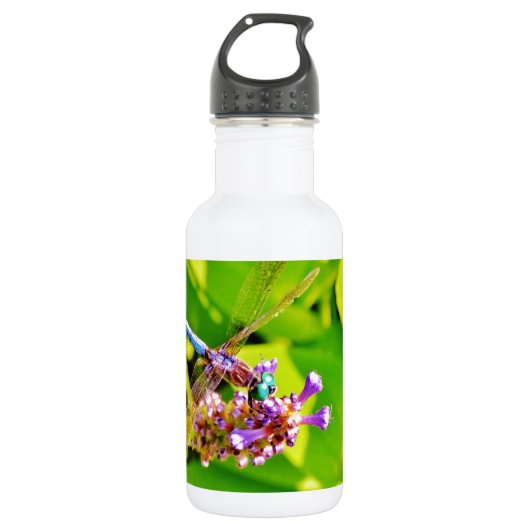 Rainboogkleurige Dragonfly op een paarse roze bloe Waterfles (Voorkant)