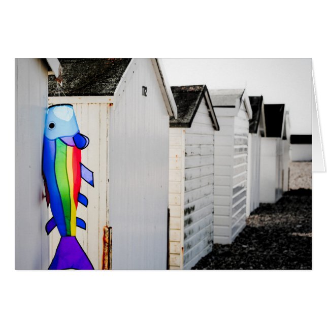 Rainboogkleurige mijt (Voorkant Horizontaal)