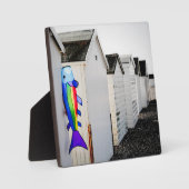 Rainboogkleurige mijt fotoplaat (Voorkant)