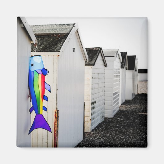 Rainboogkleurige mijt magneet (Voorkant)