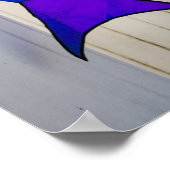 Rainboogkleurige mijt poster (Hoek)