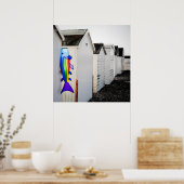 Rainboogkleurige mijt poster (Keuken)