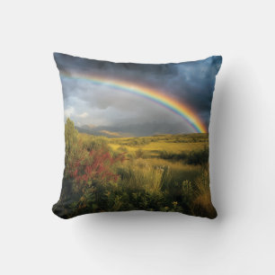 Rainboogserver Kussen