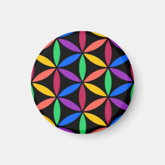Rainboogventilator van het levenspatroon magneet (Voorkant)