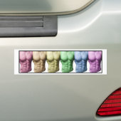 Rainbow Abs Bumpersticker (Op auto)